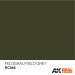 AK-Interactive RC-048 FELDGRAU – FIELD GREY RAL 6006