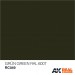 AK-Interactive RC-049 GRUN – GREEN RAL 6007