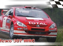 Моделист 604310 Пежо 307 WRC, 1/43