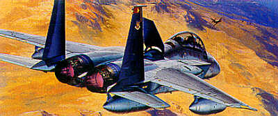 Academy 2109 F-15D "Игл", 1/72